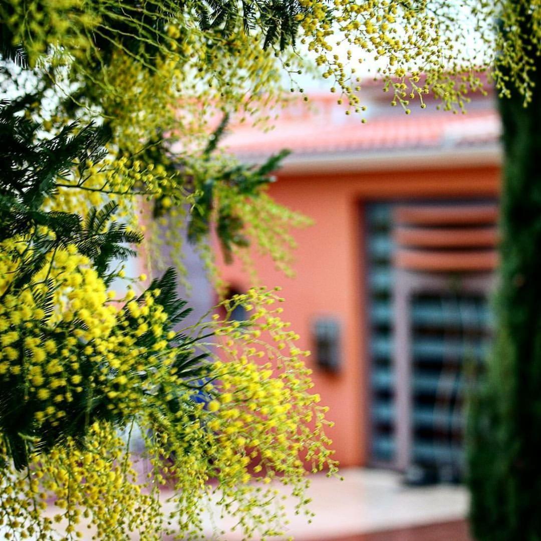 Thalassa Hotel & Spa Paleros Eksteriør billede